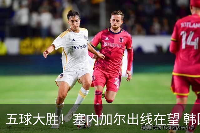 五球大胜！塞内加尔出线在望 韩国晋级仅剩理论希望